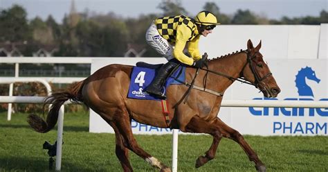 champion hurdle bookies|Champion Hurdle Tips & Prediction .